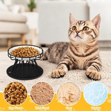 Підвищені миски для котів 2 шт. з підставки, керамічні миски для корму та води, чорні