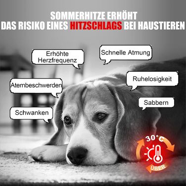 Охолоджуючий килимок для собак та котів Angelpet, самоохолоджувальний гель-мат M (65x50 см), водонепроникний та нетоксичний, синій