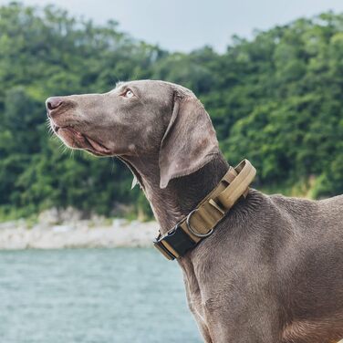 Нашийник для собак OneTigris Coyote Brown (M) з металевою пряжкою