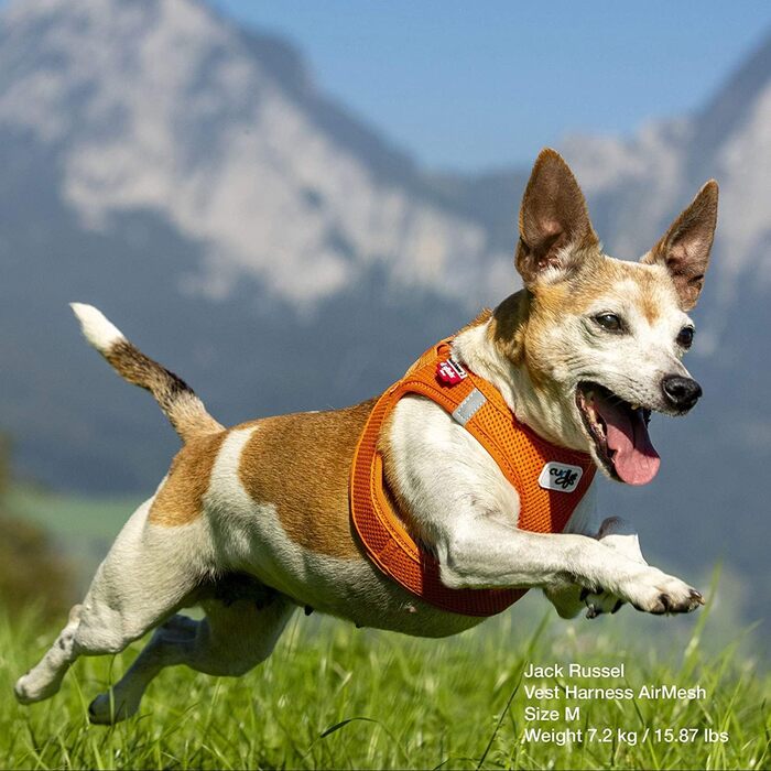 Шлейка-жилетка Vest Harness Air-Mesh чорна 2XS для собак
