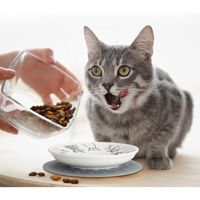 Набір мисок для котів Thenshop (6 шт.) з антиковзними килимками, керамічні годівниці, для котів, кошенят, цуценят, кроликів та хом'яків, білий, блакитний, світло-блакитний, сірий, зелений, рожевий, світло-сірий, класичний стиль