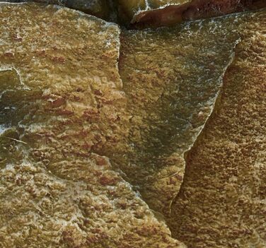 Trixie Felsplateau з колодою, 25 см - іграшка для котів