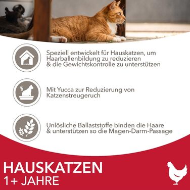 Сухий корм для котів IAMS Indoor з куркою для кішок, що живуть у приміщенні, 10 кг