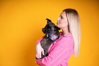 Шлейка Julius-K9 Power&More для собак, розмір M, колір Vibe