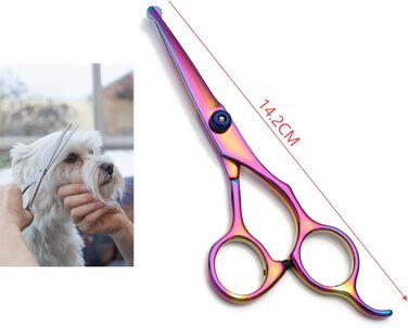 Професійна 5-в-1 фен-щітка для собак, з нержавіючої сталі, з безпечними закругленими кінцями, пряма та філірувальна/вигнута ножиці, плоска ножиця/ножиці для зубів, гребінець