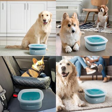 Миска для собак LumoLeaf без розливання, повільний годівниця, суха паща, без розбризкування (2L, блакитна)