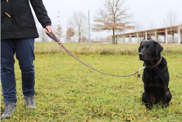 Шкіряний повідок для собак Activity4Dogs, 1 м, 2 см, для середніх і великих собак, коричнево-чорний, Німеччина