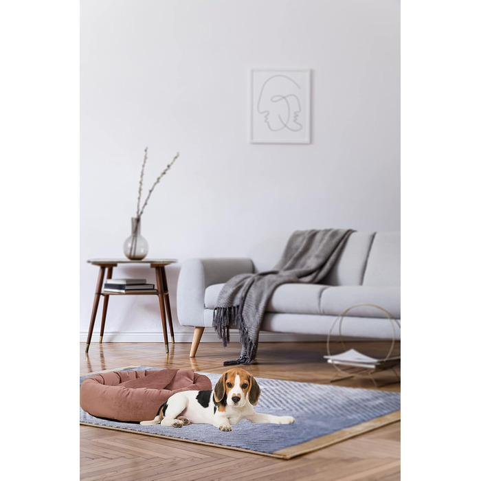 Килимок для собак Luxus Denver | гігієнічний, миється | Розмір M (для маленьких та середніх собак) | Кукурудзяна печеринка з пакетиками для збору відходів (оксамит, ) | Діаметр 68 см (Ø 68 см, Рожевий)