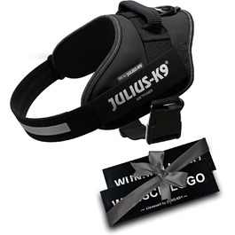 Шлейка Julius K-9 IDC Powergeschirre Anthrazitgrau з індивідуальним написом, для собак маленьких, середніх та великих порід, 16IDC+CUSTOMP-ANT