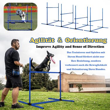 Набір для аджиліті для собак LZQ: комплектація включає 4 переносні бар'єри регульованої висоти, тренувальний набір для собак, фігури для слалому, сумка для перенесення, розмір 104x70x101 см, блакитний колір