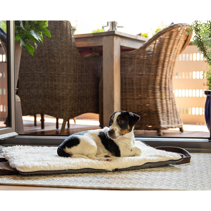 Sleepy Fox® Преміум-ліжко для собак у подорожах - портативний, складаний килимок для годування собак у ресторанах з зручними плечовими ременями - красивий та практичний (M/L, Сірий)