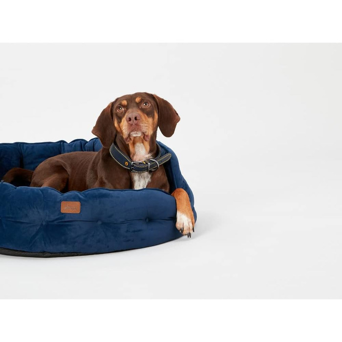Ліжко для собак Roewood x Joule Chesterfield, невелике, розкішне, з антиковзким дном, додатковою підкладкою та підтримкою, дизайн у стилі Chesterfield, зручне місце для відпочинку (темно-синій, 70x70x27 см)