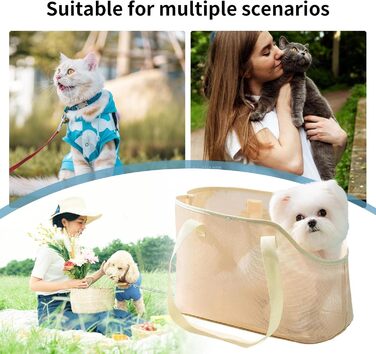 Переноска для котів та маленьких собак, дихаюча сітчаста сумка-переноска, 32 x 22 x 18 см, витримана, легка, для прогулянок та активного відпочинку