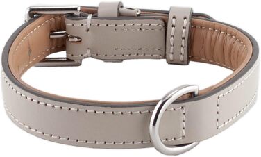 Стійкий нашийник для собак Brute Strength з натуральної шкіри, світло-сірий, розмір M (36-43 см)