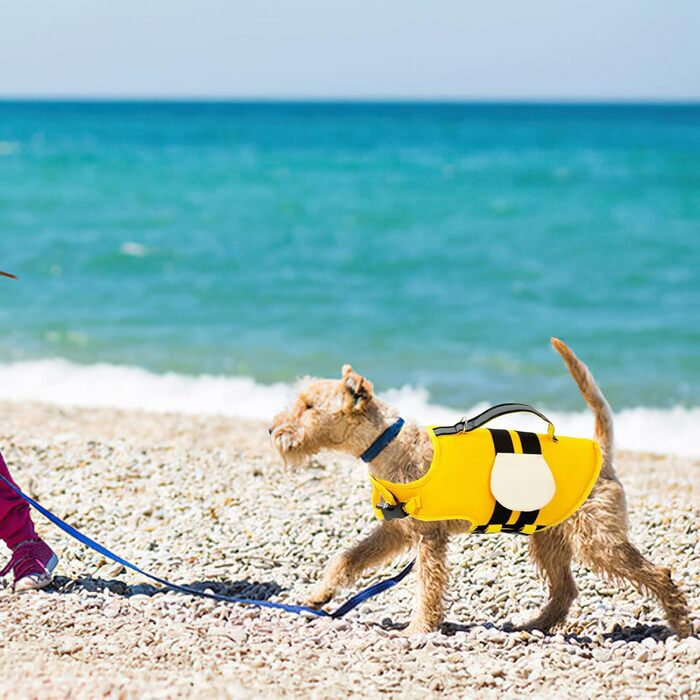 Жилет рятувальний для собак XiXiRan з ручкою, світловідбиваючий, регульований, для безпечного плавання