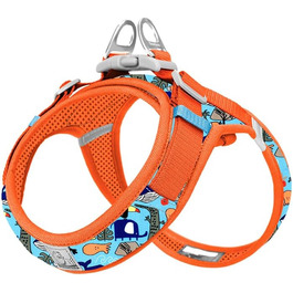 колір: блискавка