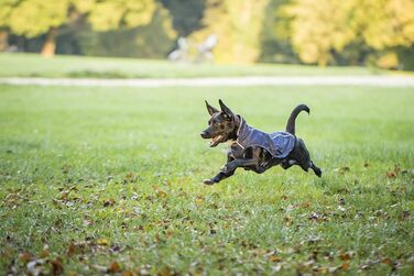Чіара Честер: Перехідна куртка, спортивна, водонепроникна, з регулюванням, для спорту (XS, Navy Blue)