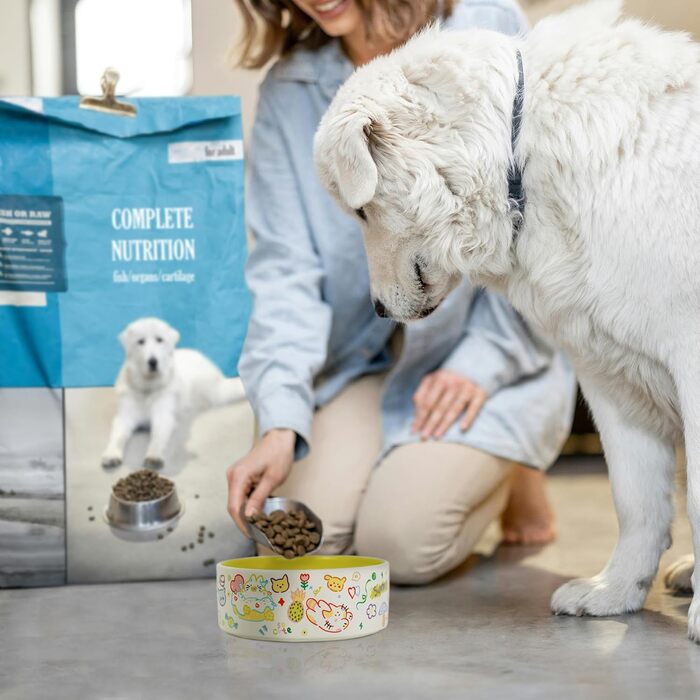 Набір мисок для собак та котів YOBRO (2 шт.), жовто-білі, 482 мл, 13 см, антиковзні, для води та корму