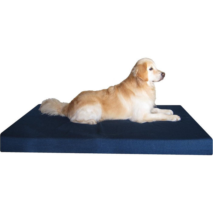 Ортопедичне ліжко для великих собак Dogbed4less з піни Memory Foam, міцним джинсовим чохлом, водонепроникною підкладкою та додатковим чохлом, 140x119x10 см