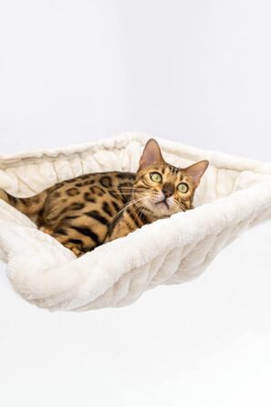 Дряпка для котів Petrebels Alexis 224 до стелі, 45x35x224 см, кремово-бежевий