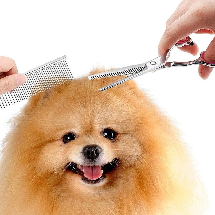 Набір для стрижки тварин QUNINE: професійний набір для грумінгу, включає ножиці та тример, нержавіюча сталь, 17.8 см