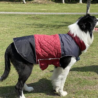 Водонепроникний зимовий теплий одяг для собак - зимовий теплий одяг для маленьких та середніх собак (коричневий, червоний, XXL)