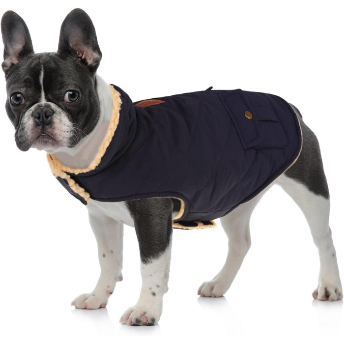 Водонепроникний зимовий теплий пуховик для собак Queenmore: для джек-расселів, чихуахуа, пуделів, бульдогів, біглів, блакитний, розмір S