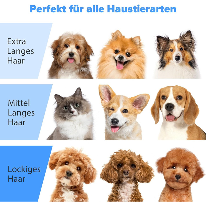 Машинка для стрижки собак зі вбудованим пилососом, 13000Pa, тиха, для собак та котів, 7 насадок, контейнер для сміття 2L