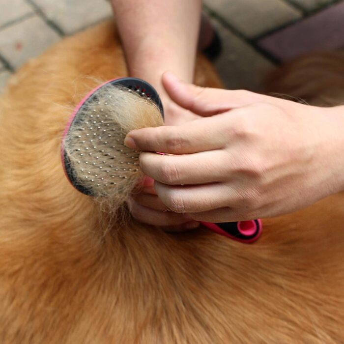 Uhomy Щітка для грумінгу домашніх тварин, самоочисна, для собак та котів, видаляє ковтуни та бруд