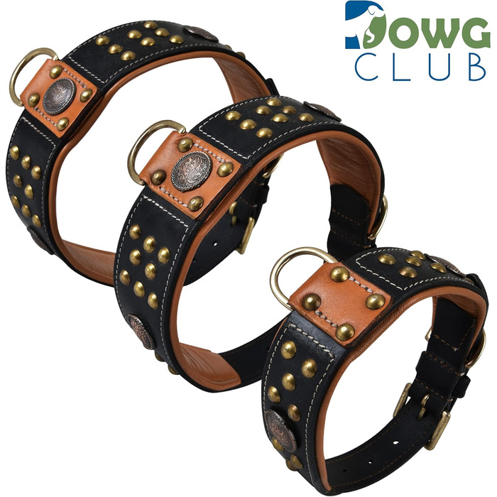 Шкіряний нашийник DowgClub Cupola з кельтськими кончо, золотими купольними заклепками, м'якою підкладкою, ручної роботи, для середніх і великих собак, 57 см, чорний