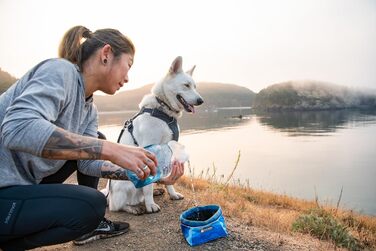Ruffwear Quencher: Портативний складний миска для води для собак, Ruffwear, Spring Mountains M