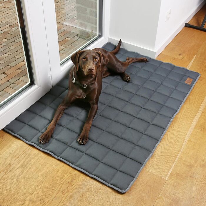 Килимок для собак Your Gear Lana, 120 x 80 см, бавовна Oeko-Tex, м'який, міцний, для дому та вулиці