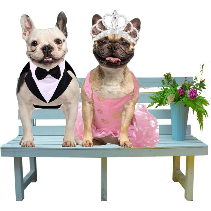 Смокінг для собак середнього та великого розміру, костюм, набір для косплею та свят, елегантний одяг для собак з краваткою та нашийником (Чорний, M: Обхват грудей 42-53 см)