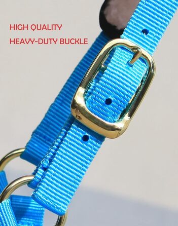 Теке Лонжера з флісовим наповнювачем, повідком та вуздечкою, чорний колір, розмір Cob (M)