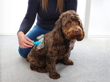 Щітка для грумінгу собак великих порід Masterclip, розмір L