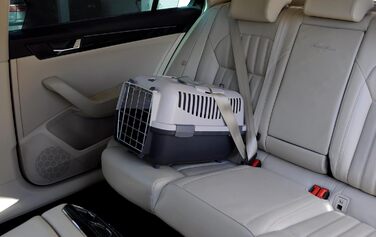 Транспортний бокс для котів та собак Nomade 2 - міцний бокс з поліпропілену, 55 x 36 x 35 см, до 8 кг