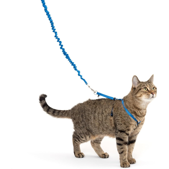 Шлейка для котів PetSafe Come with Me Kitty з еластичним повідцем, розмір S, синя
