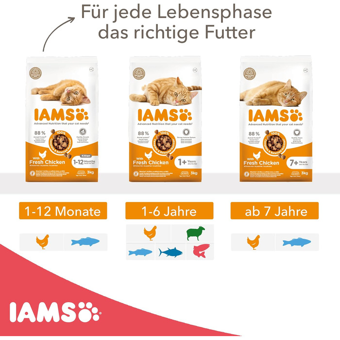 Сухий корм для котів IAMS з лососем для дорослих від 1 до 6 років, 10 кг