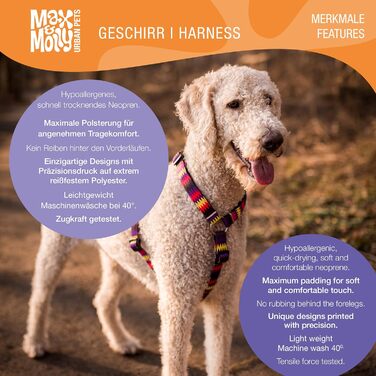 Нашийник для собак Max & Molly H-подібної форми, Ultrabequemes Geschirr Hund, Neopren, XS, для маленьких собак, з підкладкою, безпечний та ультралегкий, для комфорту вашого улюбленця