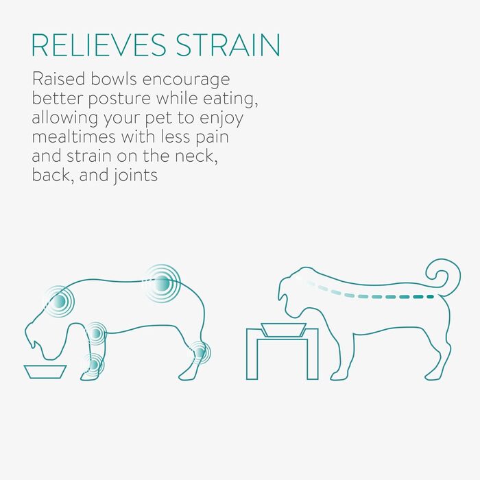 Набір мисок для тварин Navaris (2 шт) з металевим підставкою: для котів та собак, миється в посудомийній машині, нахилена миска, золото/чорний