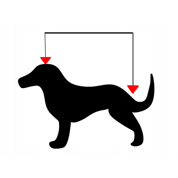 Ортопедичне ліжко для собак Lovedog, блакитне, 90 см x 60 см