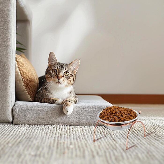 Набір з 6 піднятих мисок для котів, 14 см, нержавіюча сталь, миски для котів з металевим підставкою, без стресу, для вусів, піднята годівниця та миска для води для котів, кошенят, маленьких собак, 340 мл