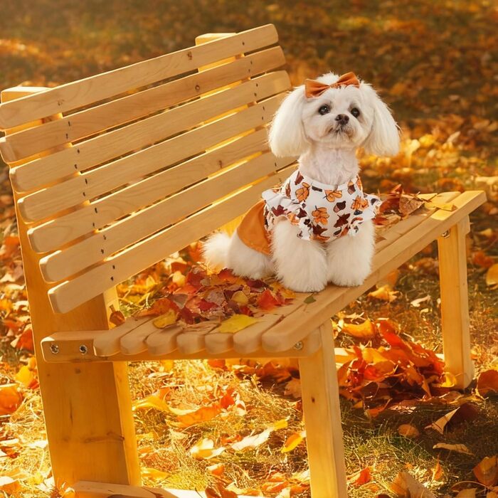 Костюм для собак 