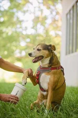 Dexas MudBuster Портативний очисник лап для собак, середній, світло-білий