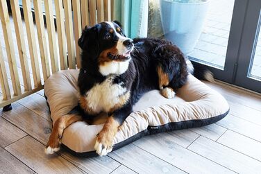 Клео - лежанка для собак середніх розмірів, 90x70 см, бежева, знімний чохол, водонепроникна, для собак великих порід