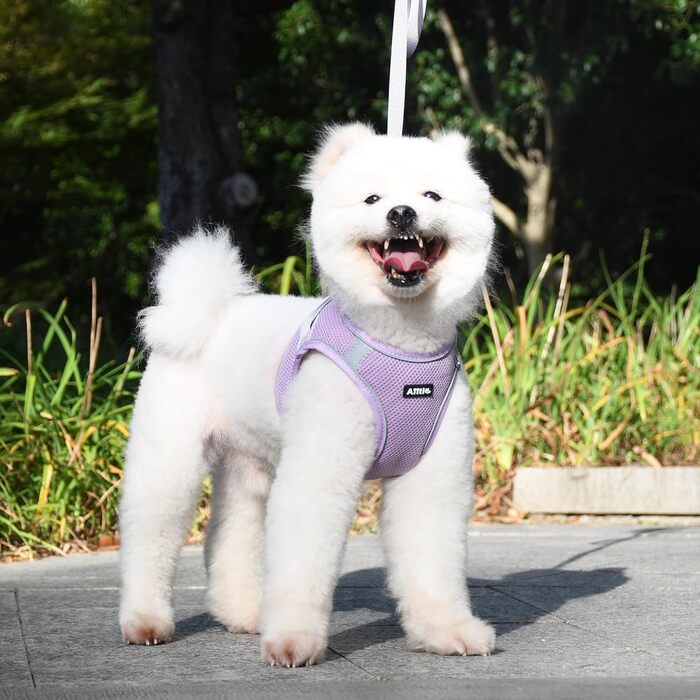 Нашийник та поводок для цуценят, комплект для прогулянок, нашийник-трансформер, м'який, дихаючий, аксесуари для домашніх тварин, світловідбиваючі смуги, для дуже маленьких собак та котів, XXXS (Обіх: 21.5 - 25.5 см)