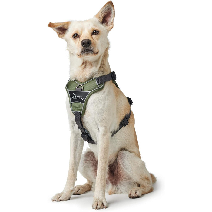 Нашийник для собак HUNTER DIVO, XS, 34-47 см, зелено-сірий