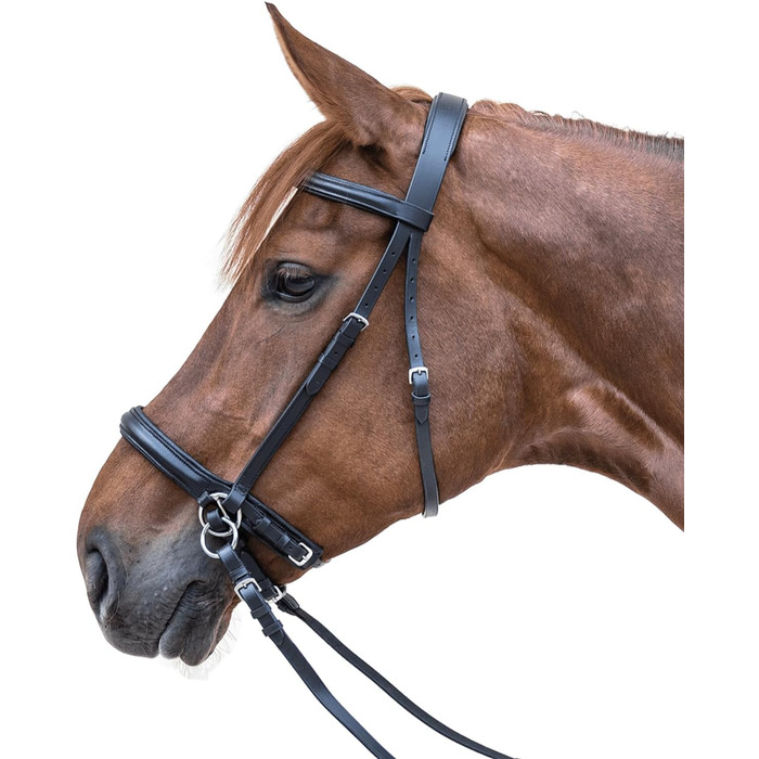 Набір для чищення зубів WALDHAUSEN Star Zaum без решітки, чорний WB