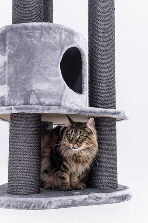 Дряпка для котів Petrebels Charlotte 180 см, преміум-якість, з гамаком, товсті стовпи Ø12 см, сіра