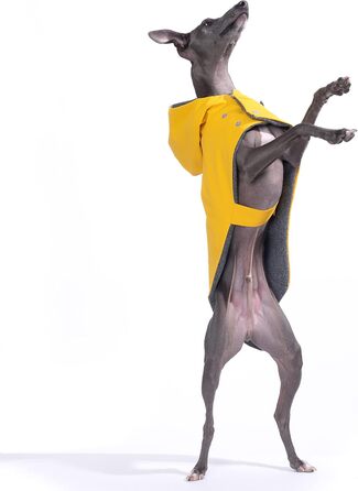 Водонепроникний дощовик Yigi з капюшоном та отвором для шлейки, з флісовою підкладкою, теплий, дихаючий пончо для собак, куртка для італійських віндхундів (X-Large)